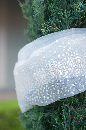 Jacksonville Wedding Photos-29
