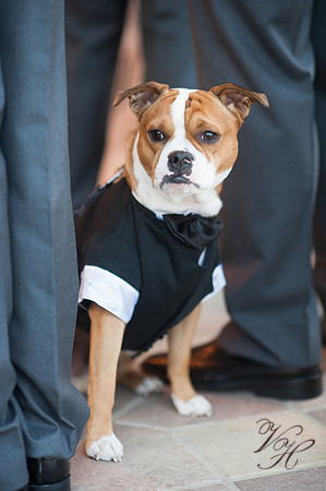 Jacksonville Wedding Photography-280