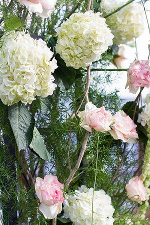Jacksonville Wedding Photos-46