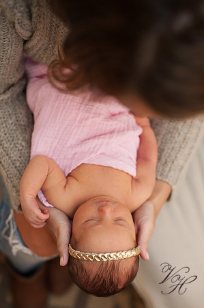Fleming Island Newborn Photos-11