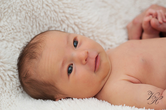 Fleming Island Newborn Photos-31