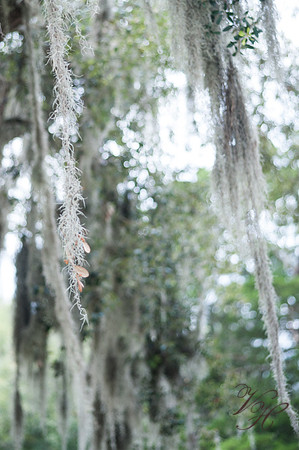 JacksonvilleWeddingPhotographer-48