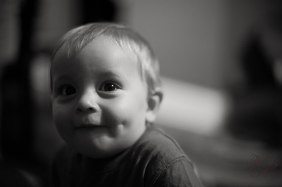 Chattanooga Family Photography-1