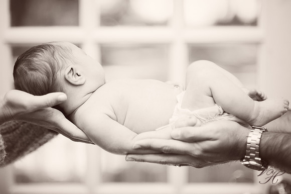 Fleming Island Newborn Photos-57