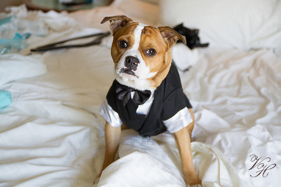 Jacksonville Wedding Photography-89