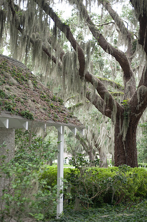 JacksonvilleWeddingPhotographer-218