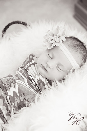Madelyn.bw-63