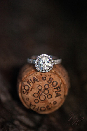 Jacksonville Engagement Photography-125