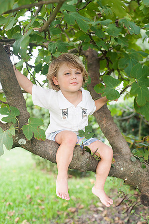 Jacksonville Family Photos-73