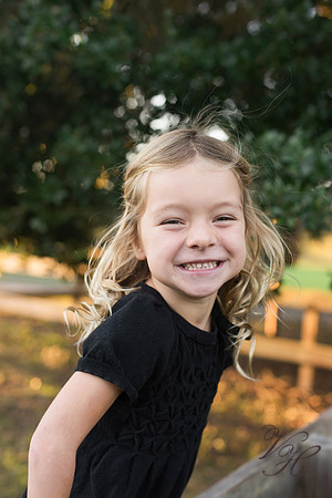 Syler-6