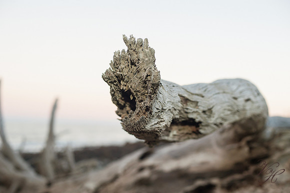 Jekyll Island Family Photos-72
