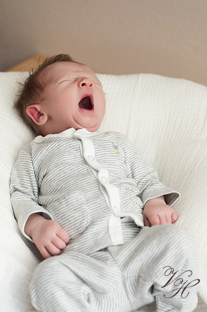 Jacksonville Newborn Photos-11