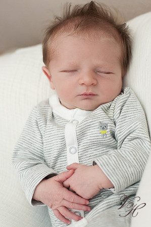 Jacksonville Newborn Photos-16