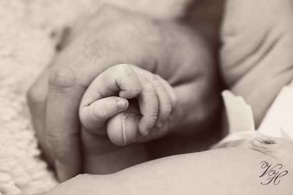 Fleming Island Newborn Photos-39
