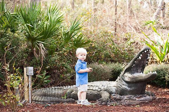 Jacksonville Family & Newborn Photos-1