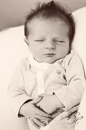 Jacksonville Newborn Photos-17