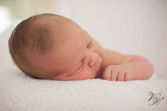Jacksonville Newborn & Family Photos-2