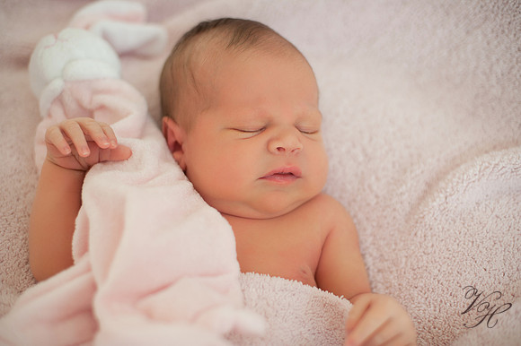 Jacksonville Newborn & Family Photos-5