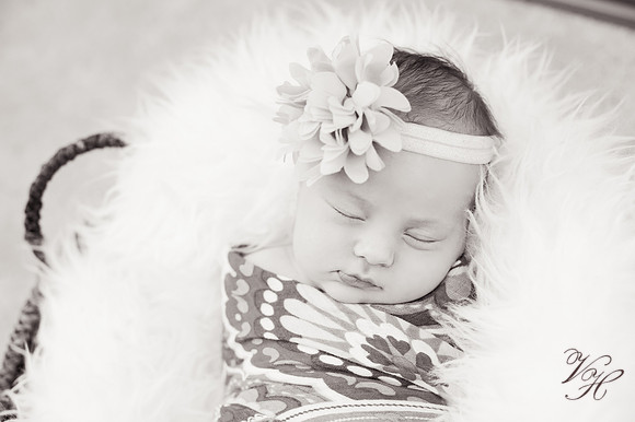 Madelyn.bw-62