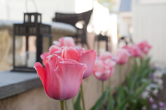 WeddingPhotographerVHobbs-55