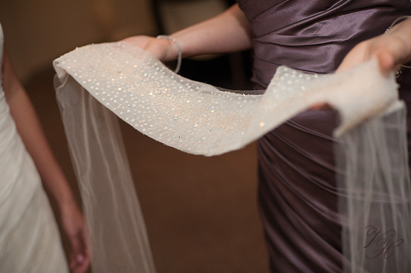 Jacksonville Wedding Photos-157
