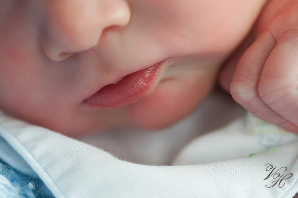 Jacksonville Family & Newborn Photos-54