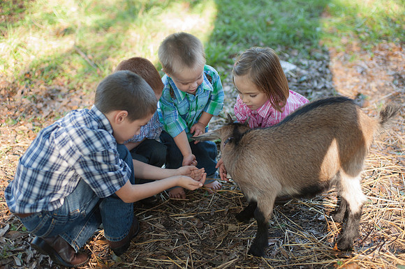Jacksonville Family Photos-115
