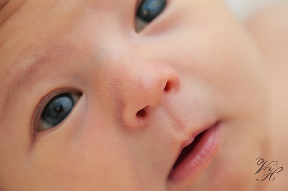 Fleming Island Newborn Photos-40