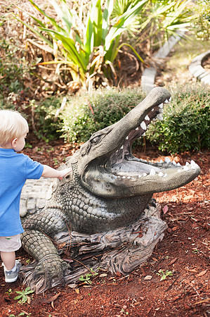 Jacksonville Family & Newborn Photos-2