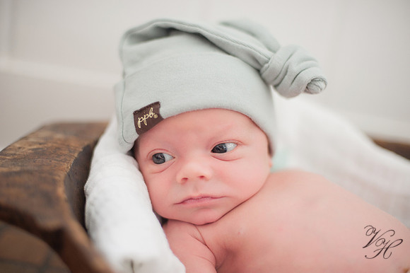 Jacksonville Familiy Photos-40