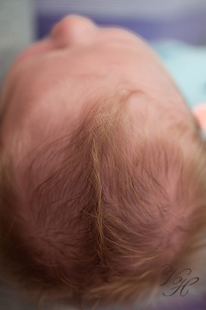 Jacksonville Newborn Photos-3