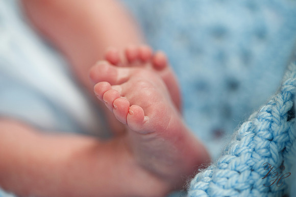 Jacksonville Family & Newborn Photos-50