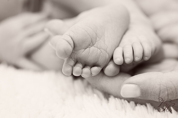 Fleming Island Newborn Photos-43