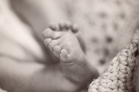 Jacksonville Family & Newborn Photos-51