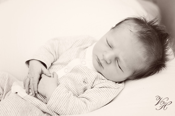 Jacksonville Newborn Photos-15