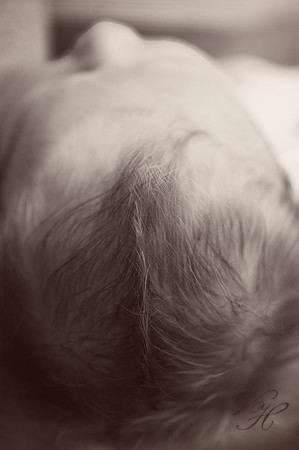 Jacksonville Newborn Photos-4
