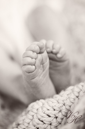Jacksonville Family & Newborn Photos-53