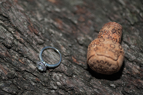 Jacksonville Engagement Photography-126