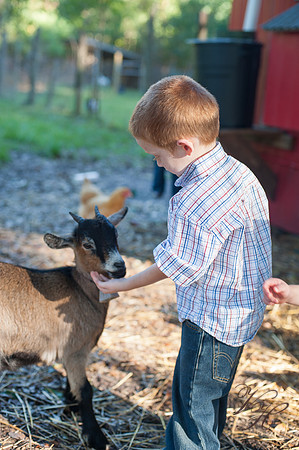 Jacksonville Family Photos-112