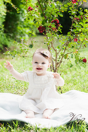 Camelia Jane-9