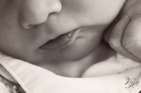 Jacksonville Family & Newborn Photos-55