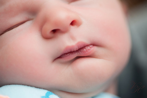 Jacksonville Newborn Photos-8