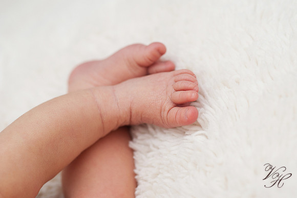 Fleming Island Newborn Photos-48