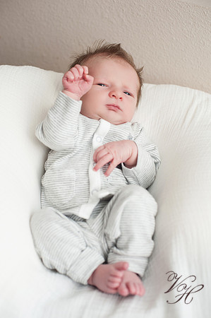 Jacksonville Newborn Photos-13