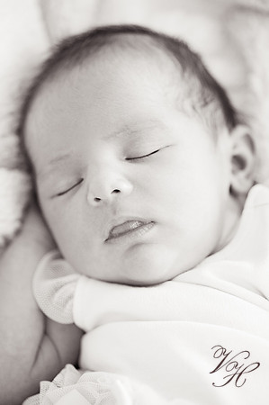 JacksonvilleNewbornPhotographer-1