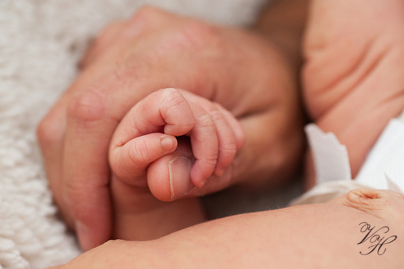 Fleming Island Newborn Photos-38