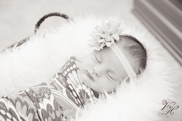 Madelyn.bw-64