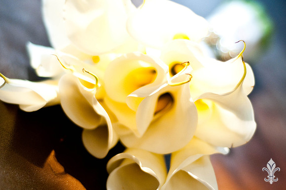 BorofskyWedding-63