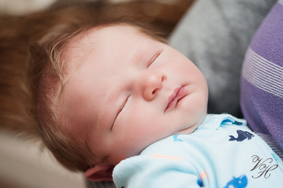 Jacksonville Newborn Photos-7