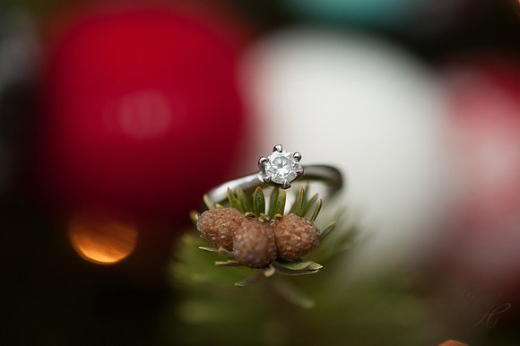 Jacksonville Wedding Photography-46